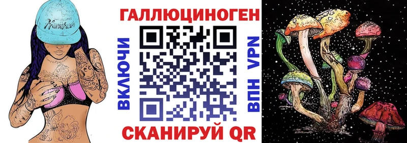 Галлюциногенные грибы Psilocybe  MEGA онион  Канаш 